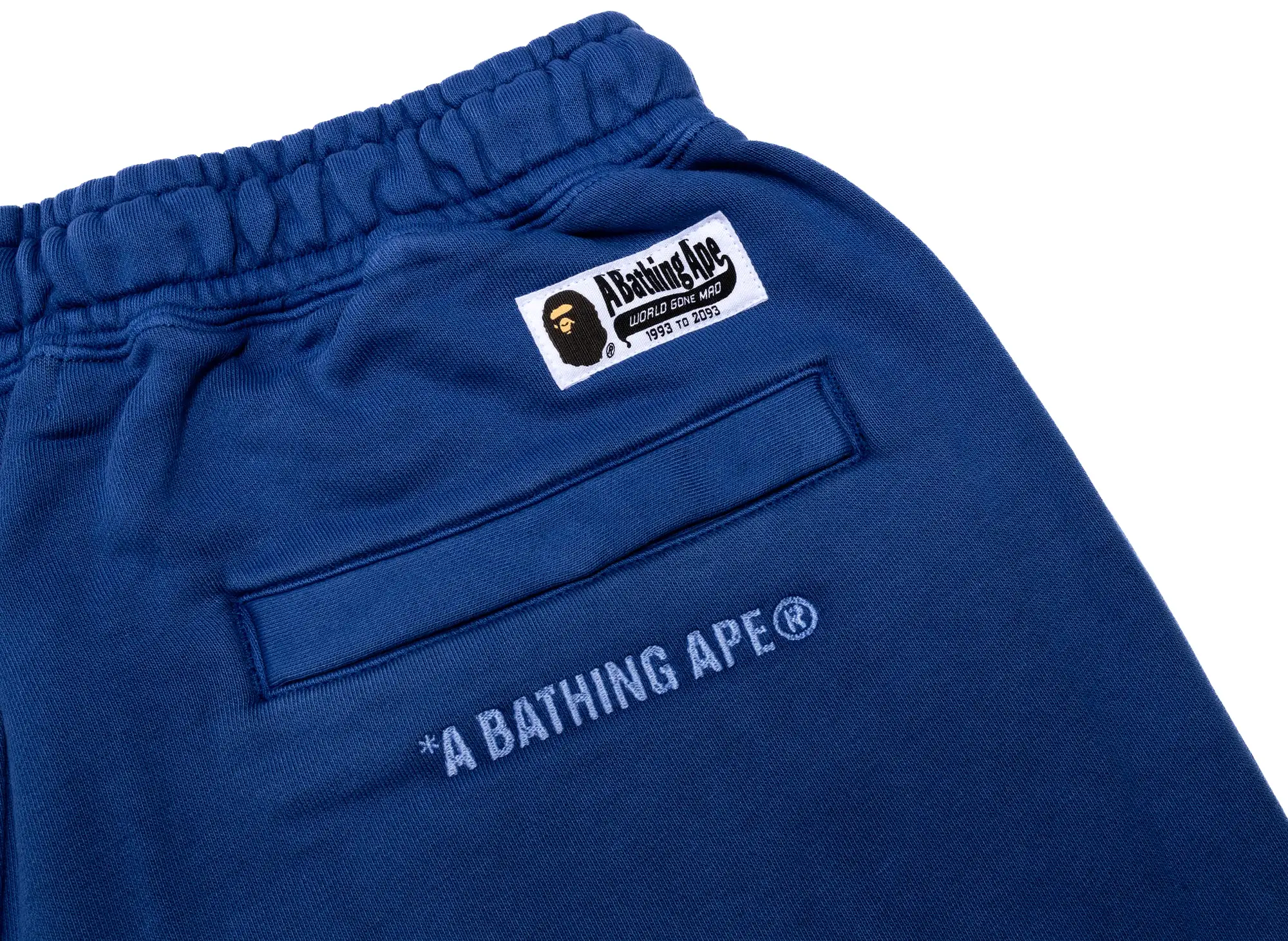 A Bathing Ape College One Point Overdye Pants in Blue