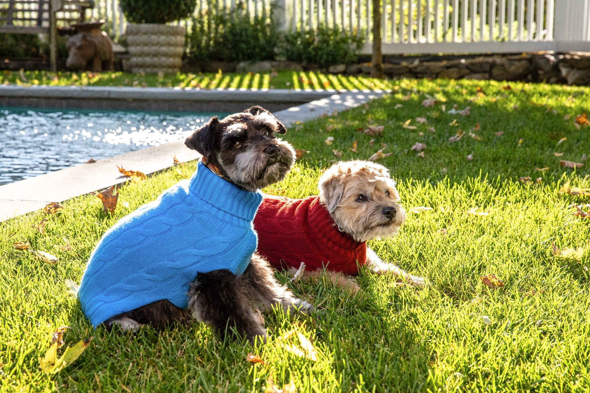 Cableknit Cashmere Dog Sweater, Burgundy