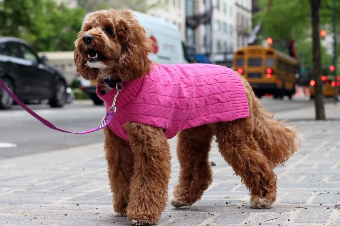 Cableknit Cashmere Dog Sweater, Hot Pink