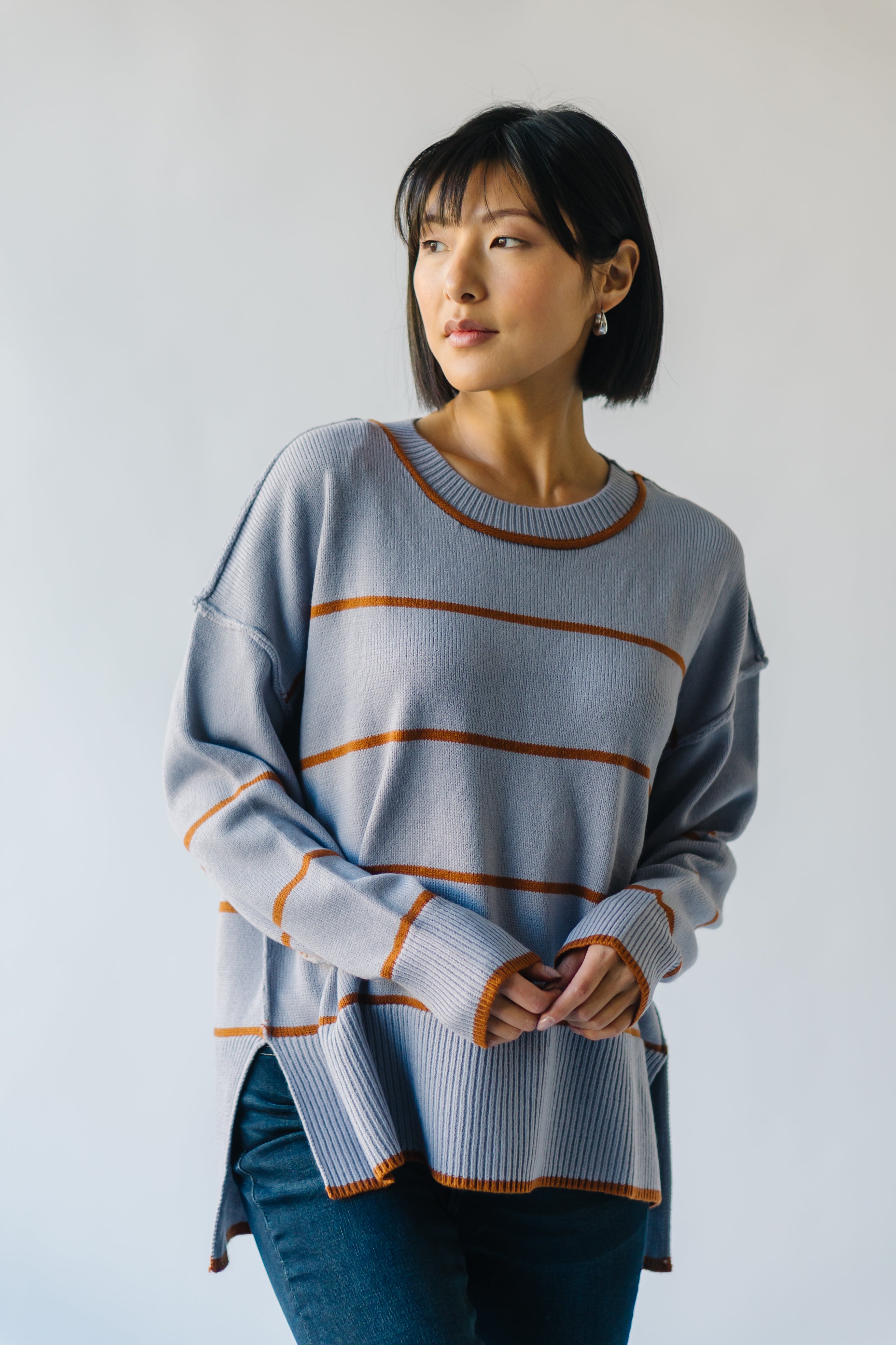 The Borden Striped Sweater in Blue + Tan