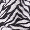 Zebra Jacket